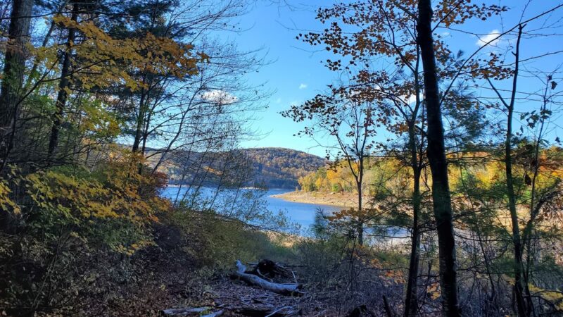 Tunxis Wildlife Management Area - West Hartland, CT