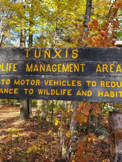 Tunxis Wildlife Management Area - West Hartland, CT