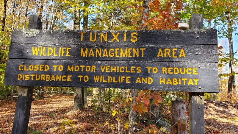 Tunxis Wildlife Management Area - West Hartland, CT