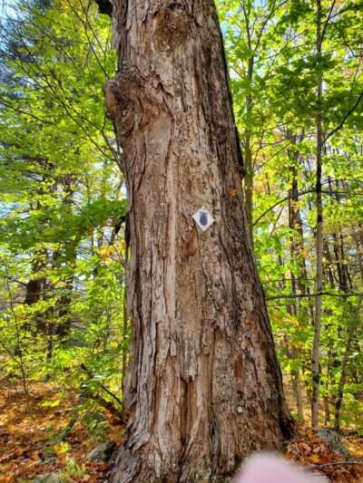 Tunxis Wildlife Management Area - West Hartland, CT