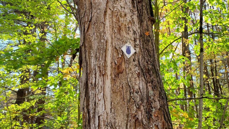 Tunxis Wildlife Management Area - West Hartland, CT