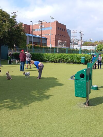 West Hollywood Small Dog Park - West Hollywood, CA