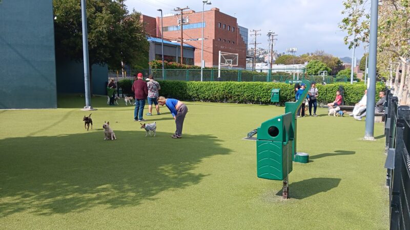 West Hollywood Small Dog Park - West Hollywood, CA