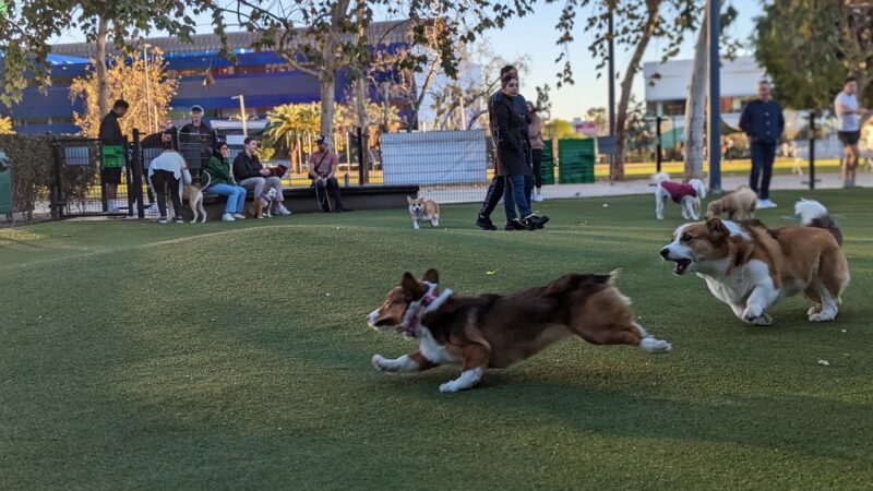 West Hollywood Small Dog Park - West Hollywood, CA