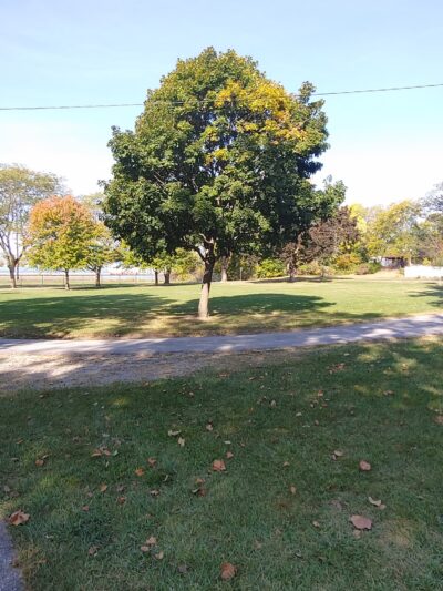 Kimberly park - West Liberty, IA