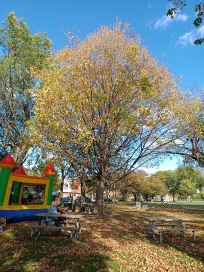 West Milwaukee Park - West Milwaukee, WI