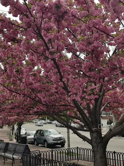 Liberty Skyline - West New York, NJ