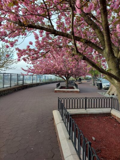 Liberty Skyline - West New York, NJ