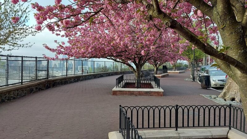 Liberty Skyline - West New York, NJ