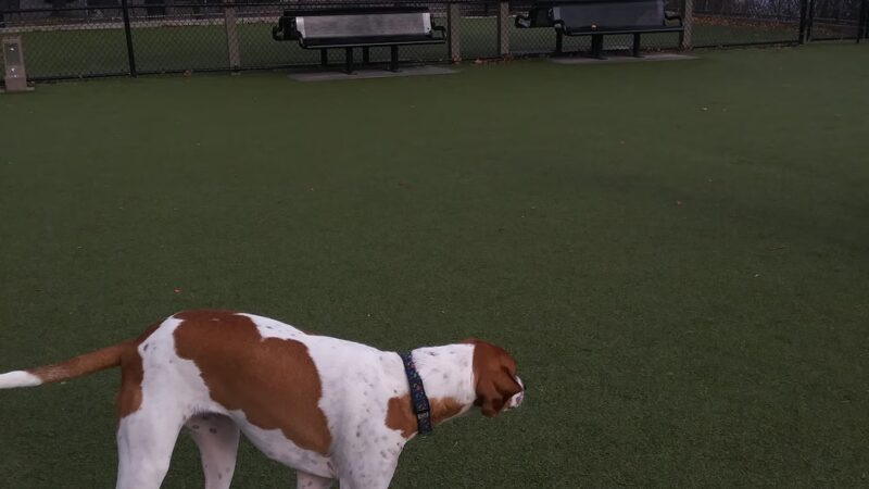 Patricia McEldowney Field - West New York, NJ