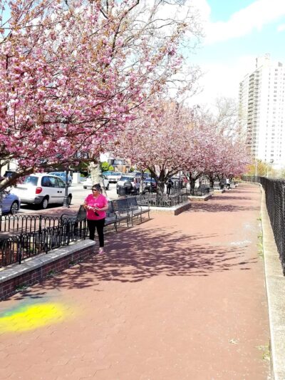 Verrazano Park - West New York, NJ
