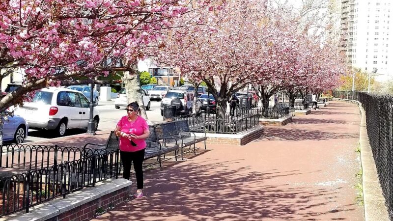 Verrazano Park - West New York, NJ