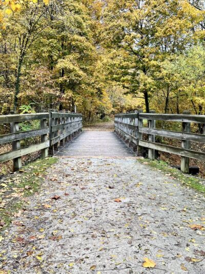 Cedar Creek Gorge - West Newton, PA