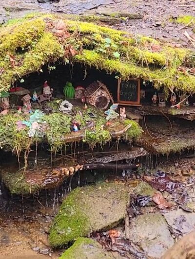 Cedar Creek Gorge - West Newton, PA