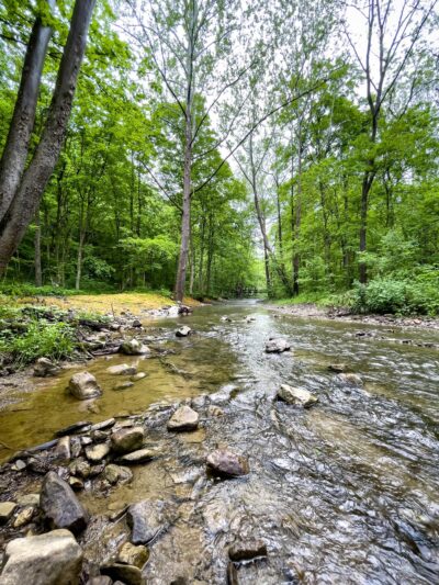 Cedar Creek Gorge - West Newton, PA
