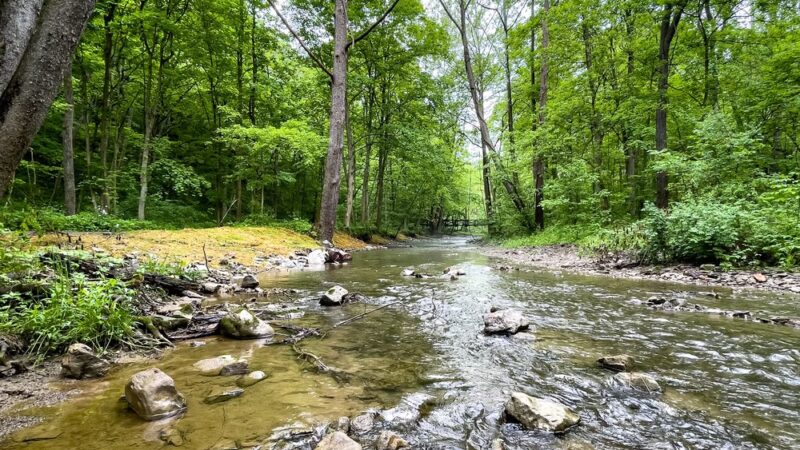 Cedar Creek Gorge - West Newton, PA