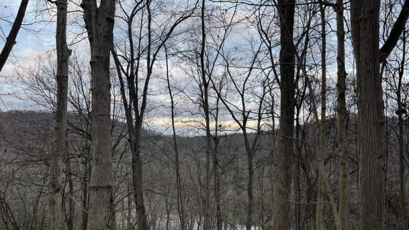 Cedar Creek Gorge - West Newton, PA