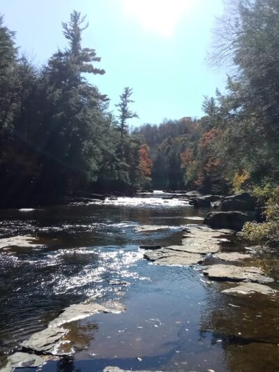 West Newton - West Newton, PA