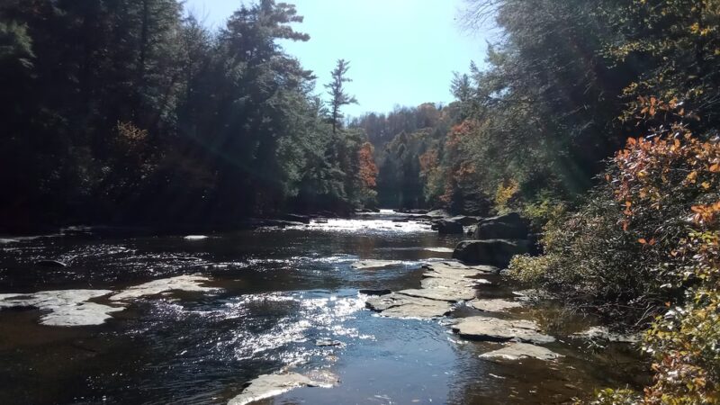 West Newton - West Newton, PA