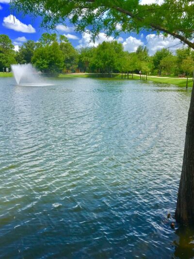 Coconut Park - West Palm Beach, FL