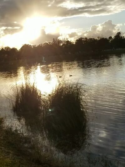 Coconut Park - West Palm Beach, FL