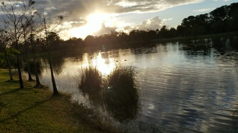 Coconut Park - West Palm Beach, FL