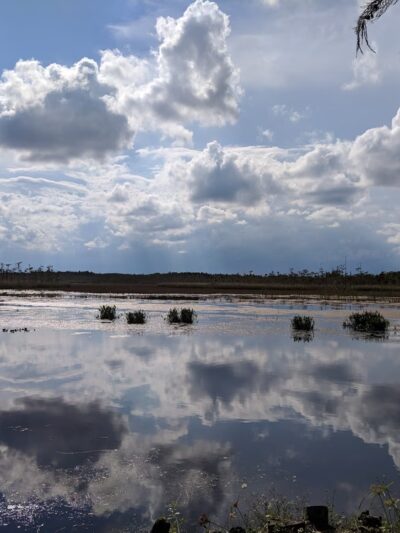 SWA Greenway Trail System - West Palm Beach, FL