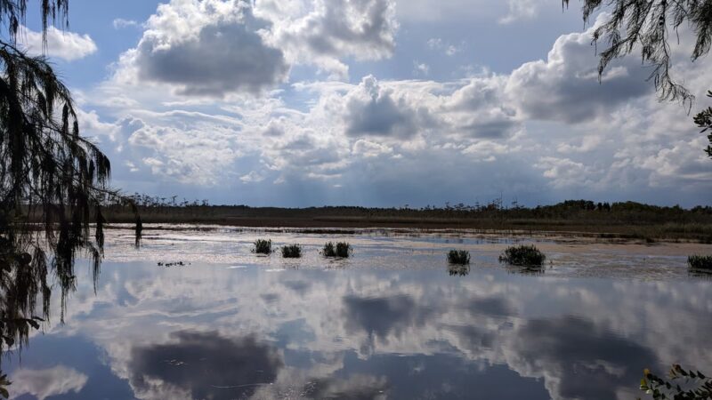 SWA Greenway Trail System - West Palm Beach, FL