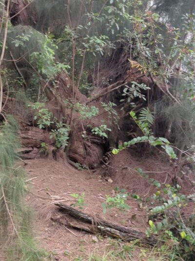 SWA Greenway Trail System - West Palm Beach, FL