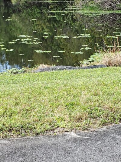 SWA Greenway Trail System - West Palm Beach, FL