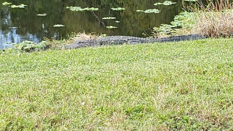 SWA Greenway Trail System - West Palm Beach, FL