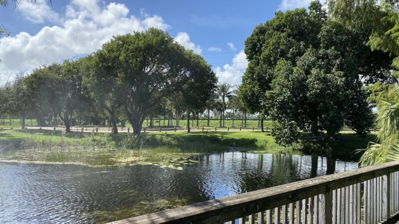 Dreher Park - West Palm Beach, FL