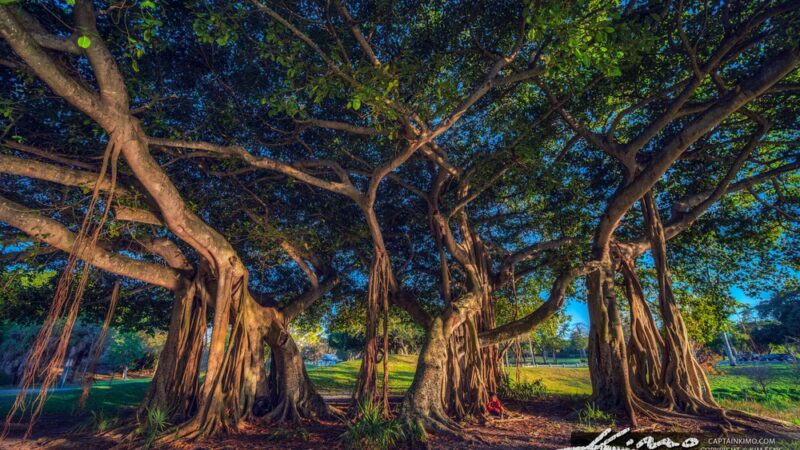 Dreher Park - West Palm Beach, FL