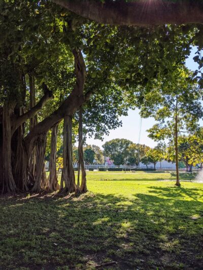 Howard Park - West Palm Beach, FL