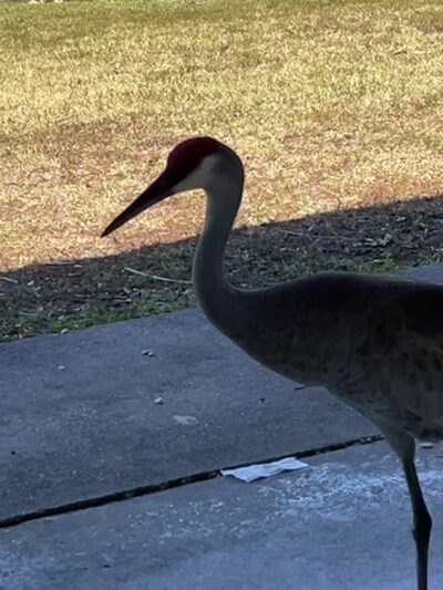 Okeeheelee Park - West Palm Beach, FL