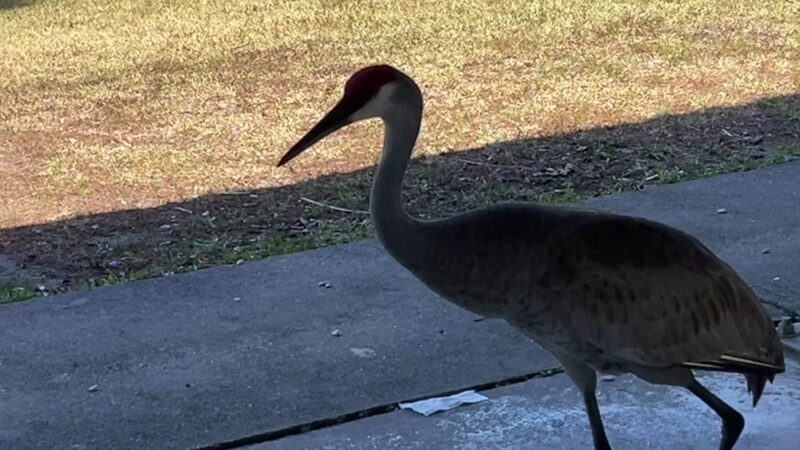 Okeeheelee Park - West Palm Beach, FL