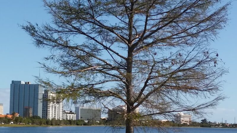 Westward Park - West Palm Beach, FL