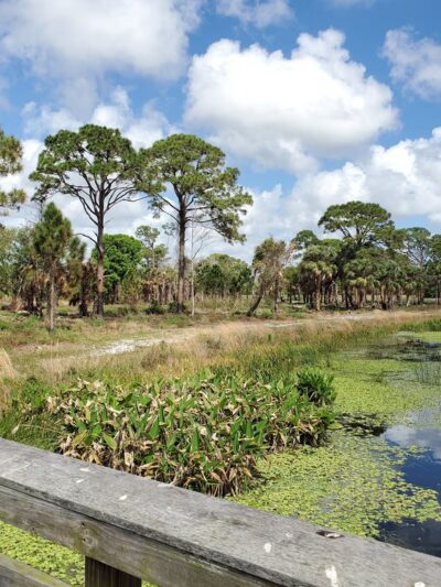 Winding Waters Natural Area - West Palm Beach, FL