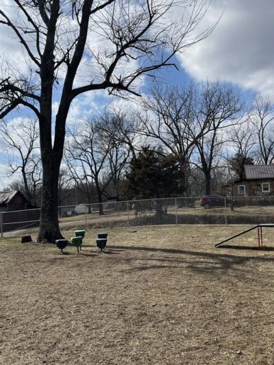 West plains dog park Gene Jones - West Plains, MO