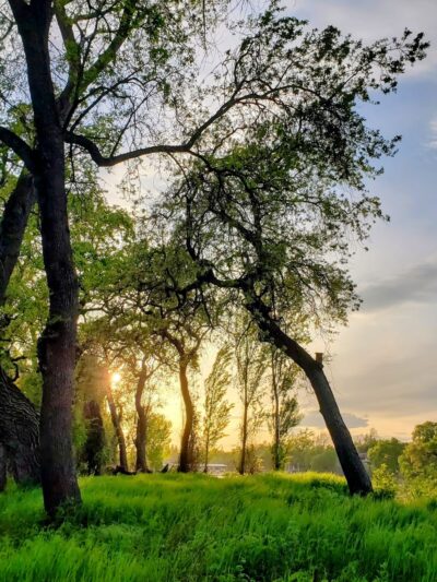 Marina Way River Access - West Sacramento, CA