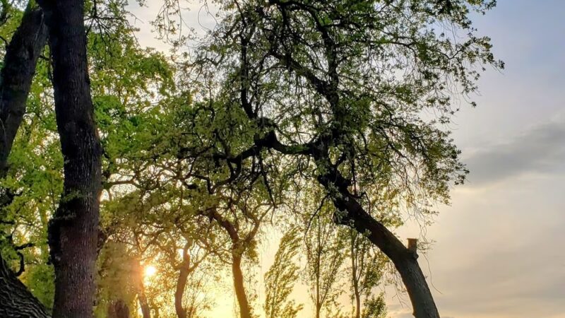 Marina Way River Access - West Sacramento, CA