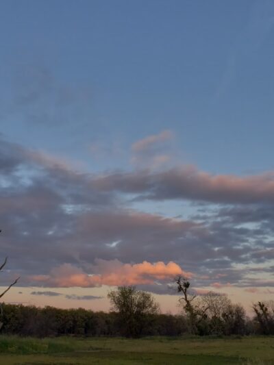 Marina Way River Access - West Sacramento, CA