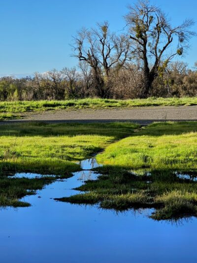 Marina Way River Access - West Sacramento, CA