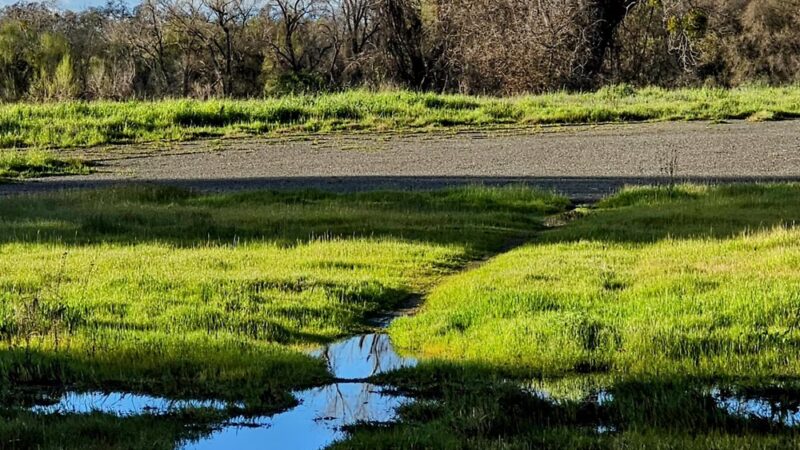 Marina Way River Access - West Sacramento, CA