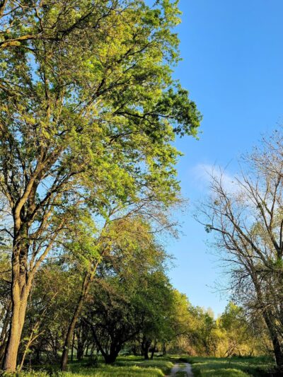 Marina Way River Access - West Sacramento, CA