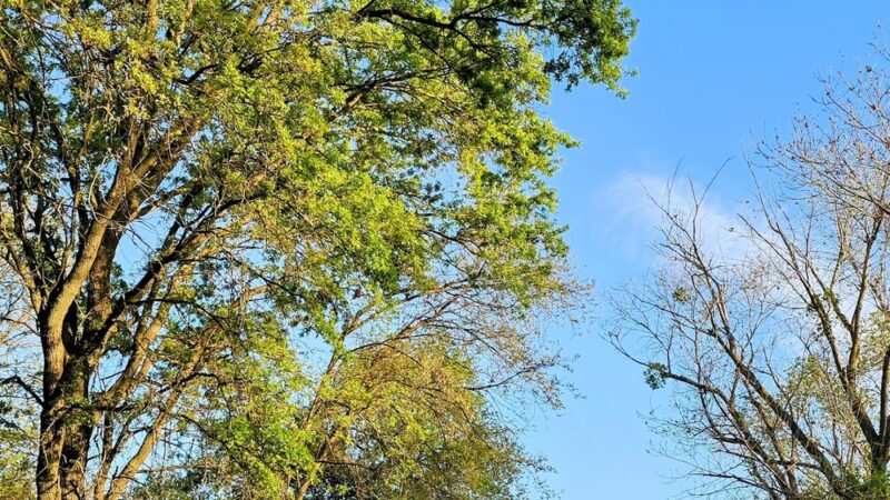 Marina Way River Access - West Sacramento, CA