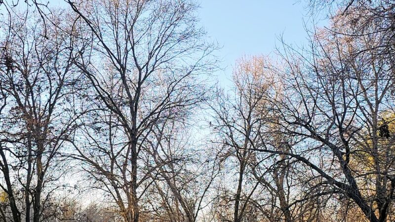 River Walk - West Sacramento, CA