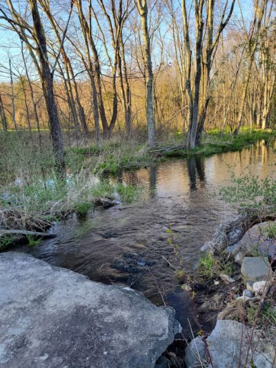 Meadow Pond Park - West Simsbury, CT