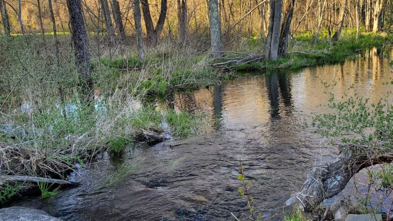 Meadow Pond Park - West Simsbury, CT