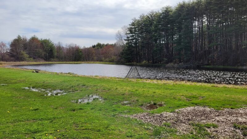 Meadow Pond Park - West Simsbury, CT